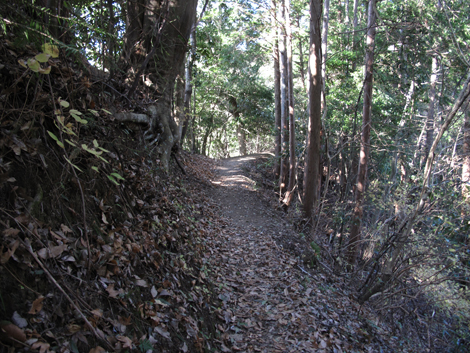 20160108hike (45)